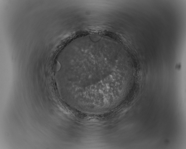 X0000115410913200911171355