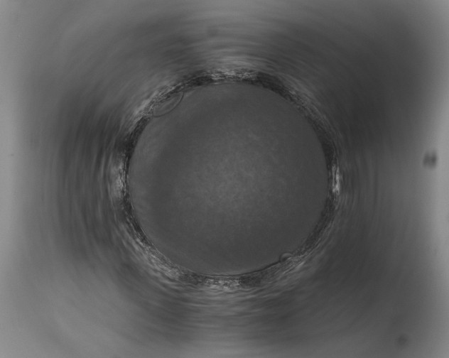 X0000115410915200911171355