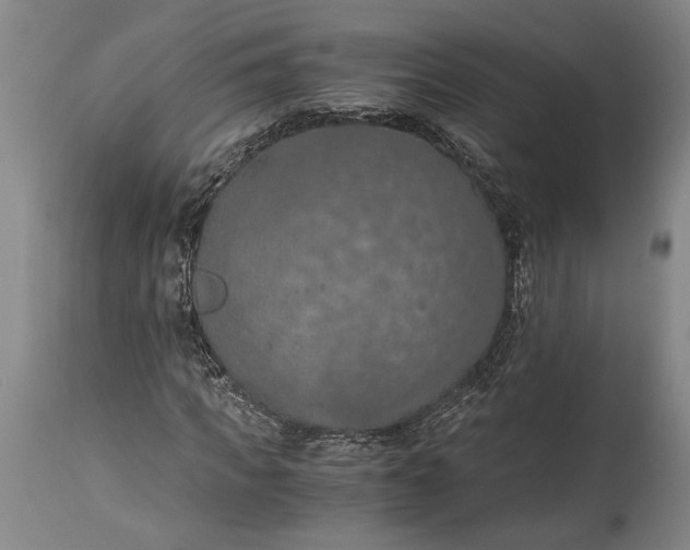 X0000115410917200911171355