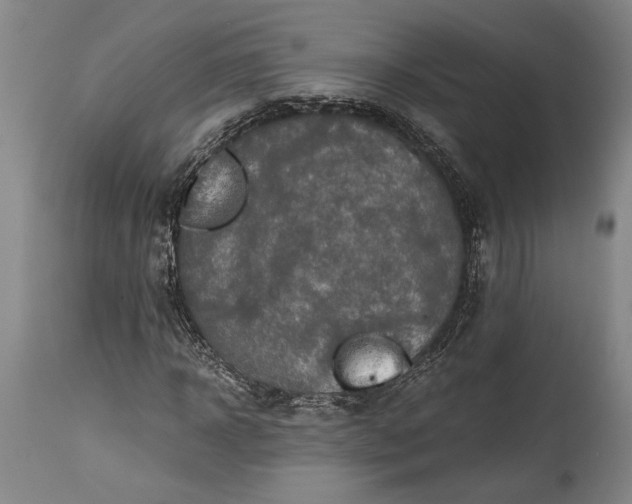 X0000115410918200911171355