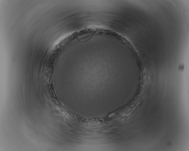 X0000115410919200911171355