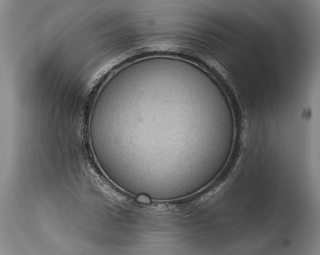 X0000115410922200911171356