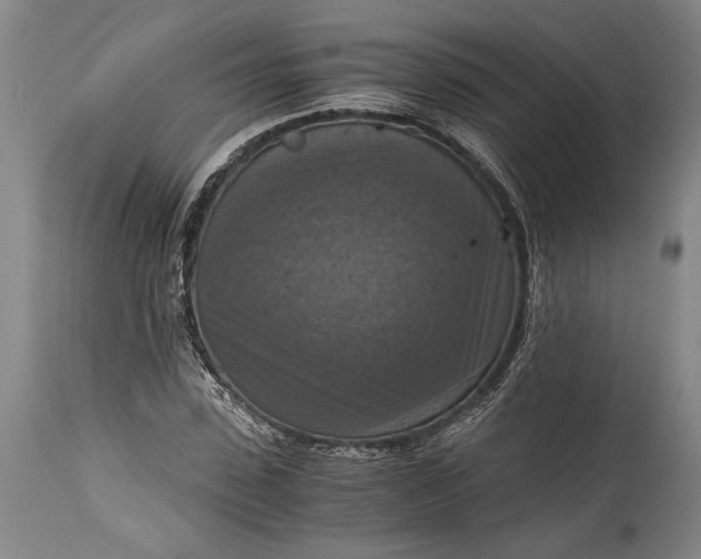 X0000115410923200911171356