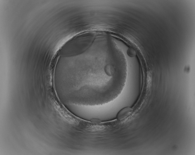 X0000115410925200911171356