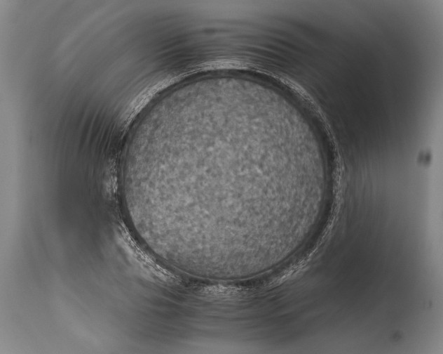 X0000115410929200911171356