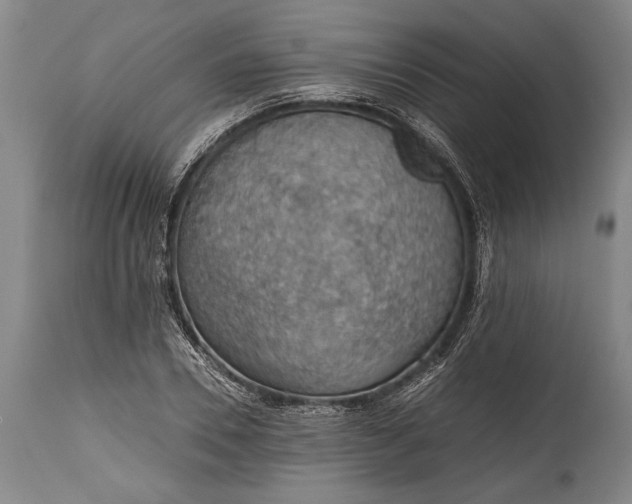 X0000115410930200911171356