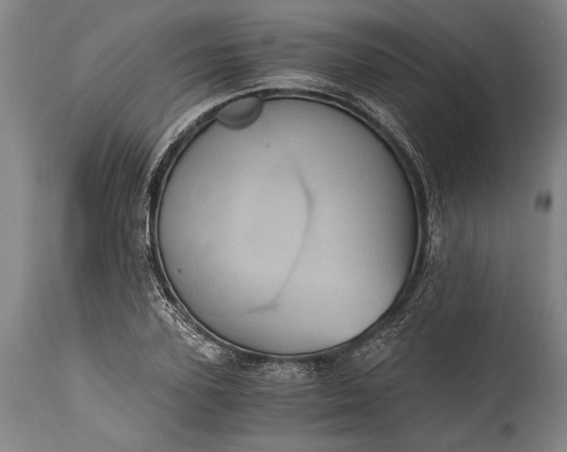 X0000115410931200911171356