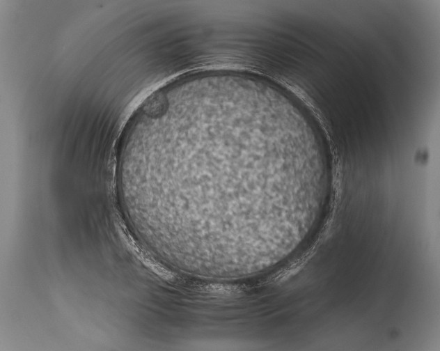 X0000115410933200911171356