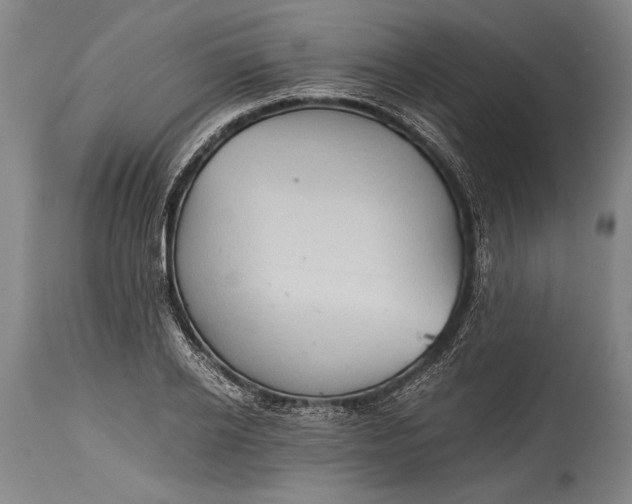 X0000115410934200911171356
