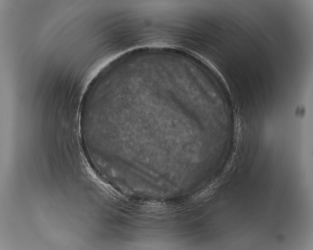 X0000115410935200911171356