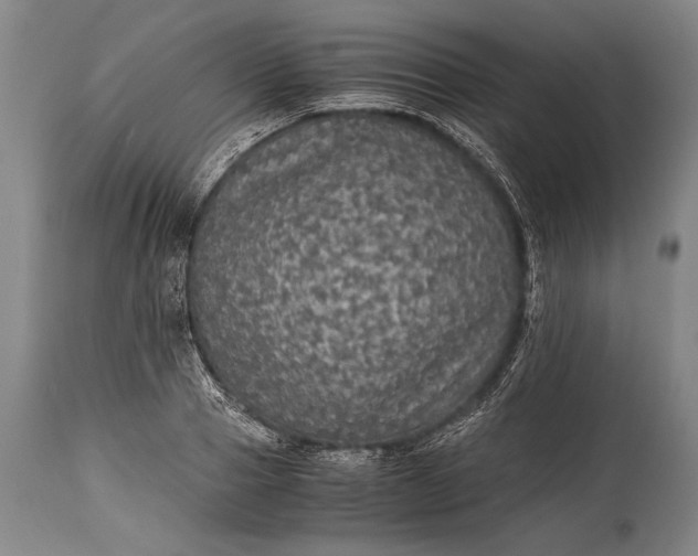 X0000115410937200911171356