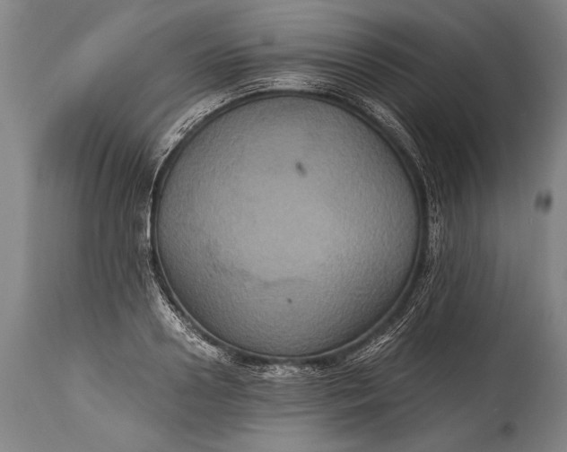 X0000115410938200911171356