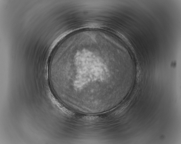 X0000115410939200911171356