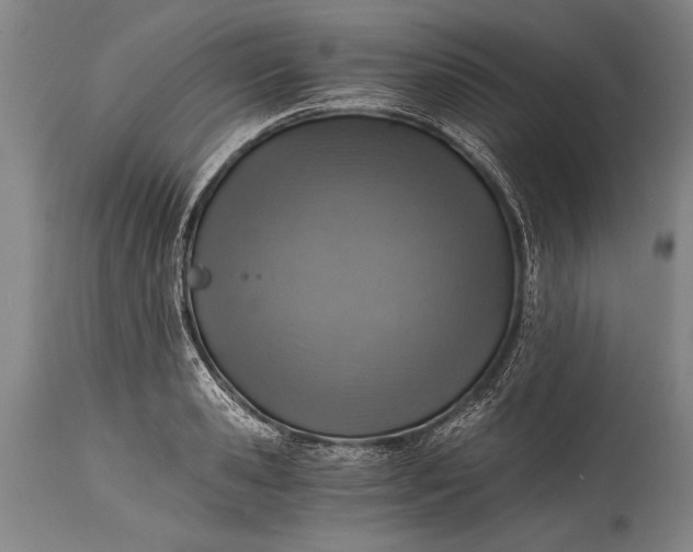 X0000115410941200911171356