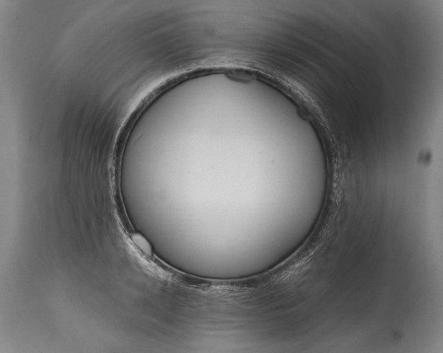 X0000115410942200911171356