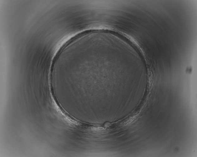 X0000115410943200911171356