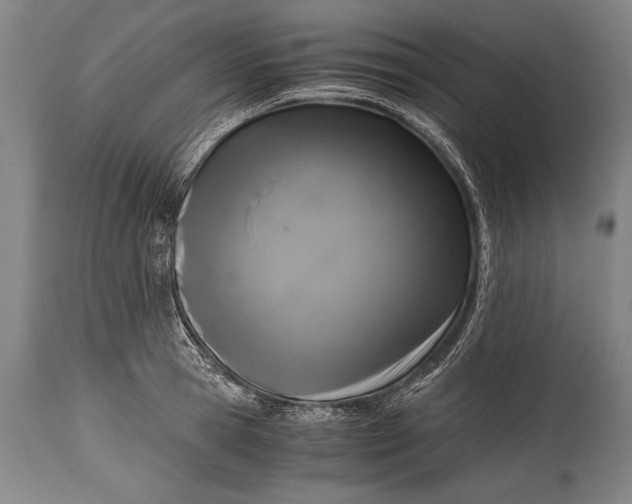 X0000115410945200911171356