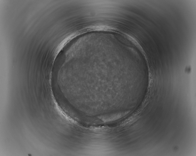 X0000115410946200911171356