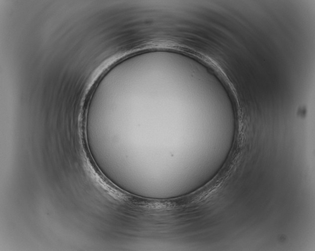 X0000115410947200911171356