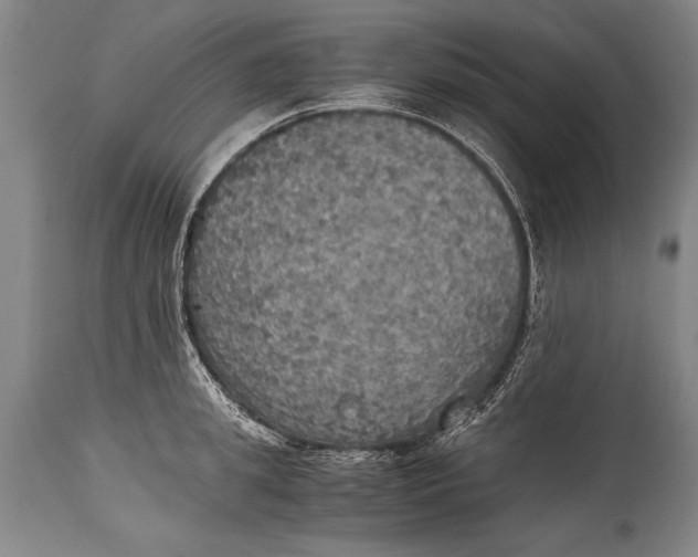 X0000115410949200911171356