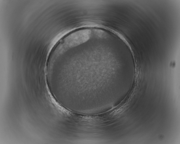 X0000115410951200911171356