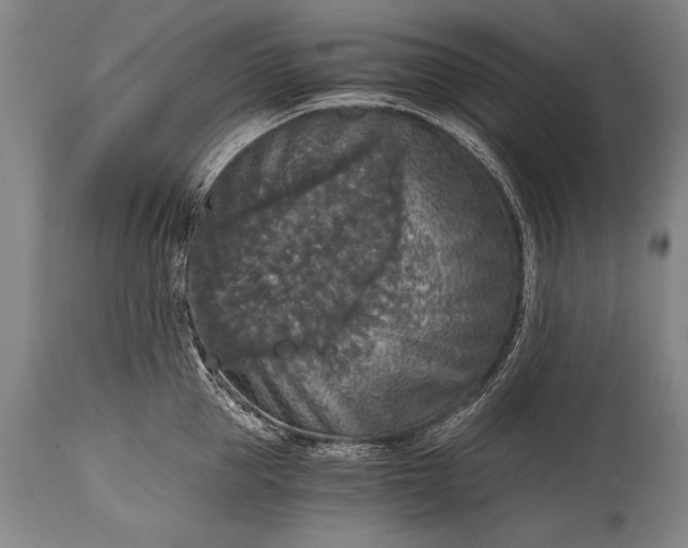 X0000115410953200911171356