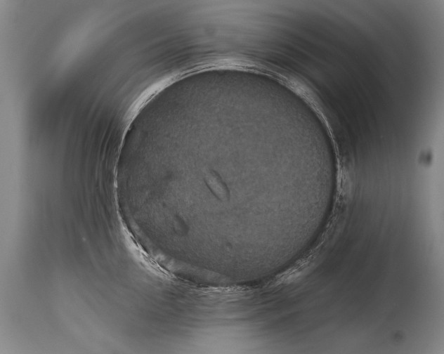 X0000115410954200911171356