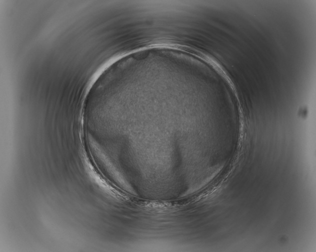 X0000115410955200911171356