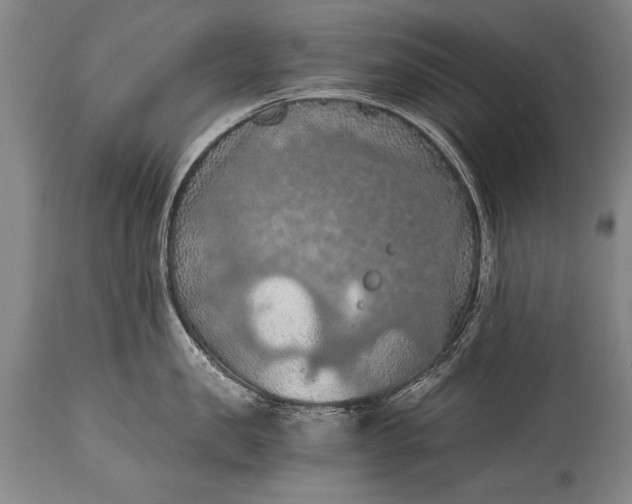 X0000115410957200911171356
