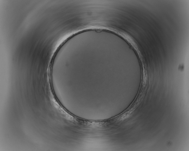 X0000115410958200911171356