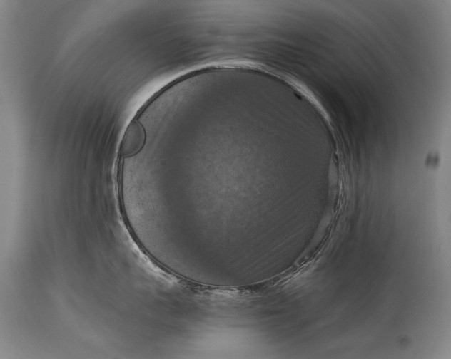X0000115410959200911171356