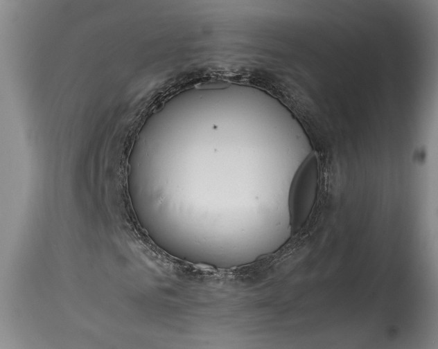 X0000115410961200911171355