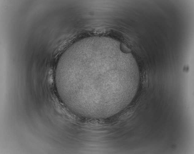 X0000115410962200911171355