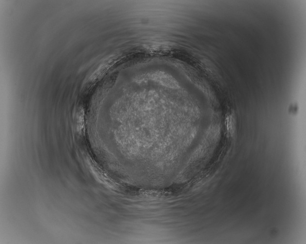 X0000115410963200911171355