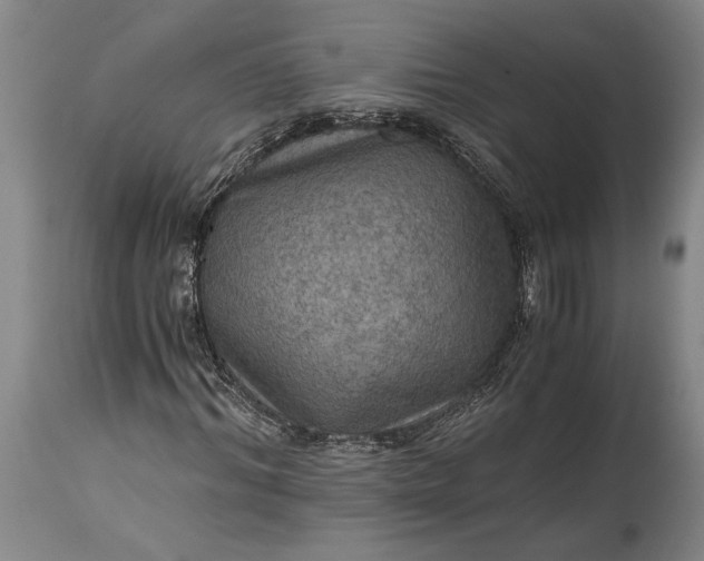 X0000115410964200911171355