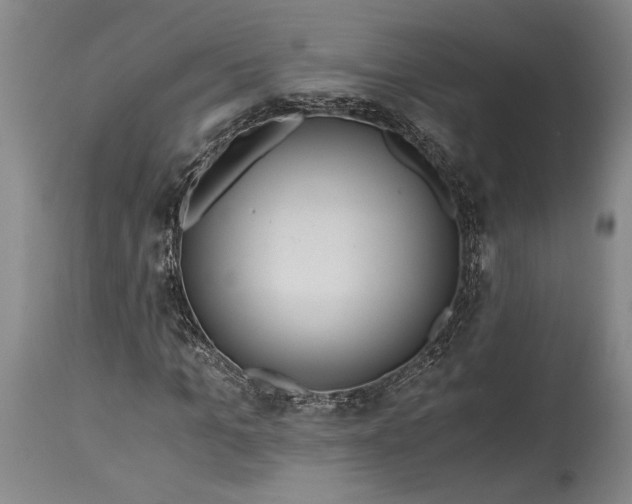 X0000115410965200911171355