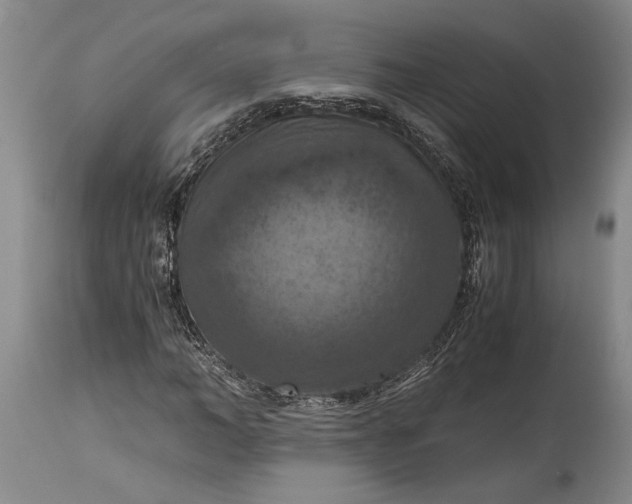 X0000115410966200911171355