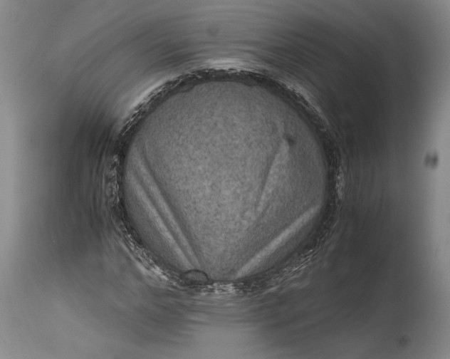 X0000115410968200911171355