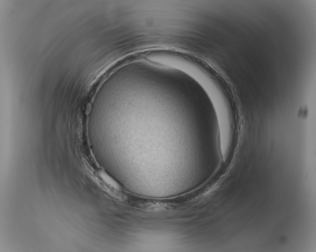 X0000115410969200911171355