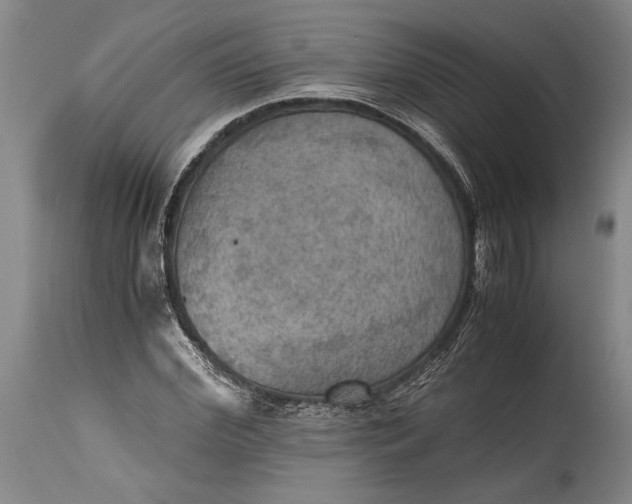 X0000115410972200911171355