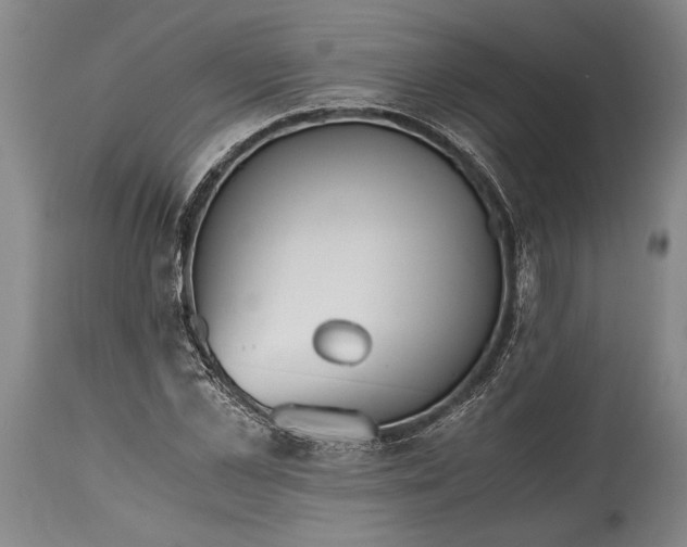 X0000115410973200911171355