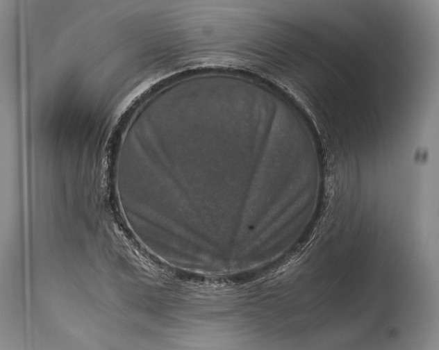 X0000115410975200911171355