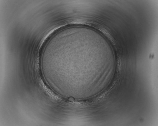 X0000115410976200911171355