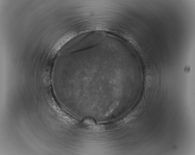 X0000115410977200911171355