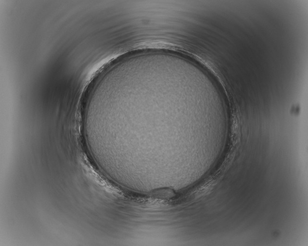 X0000115410979200911171355