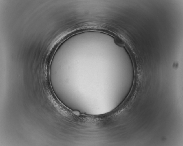 X0000115410981200911171355