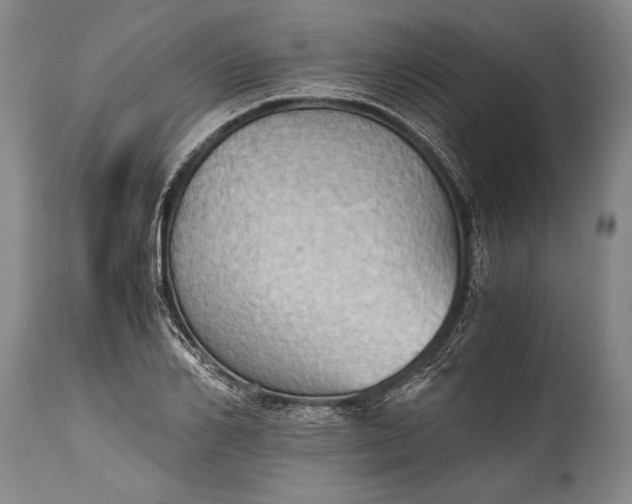 X0000115410982200911171355