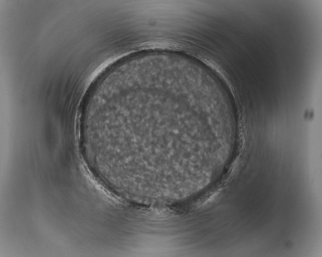 X0000115410983200911171355