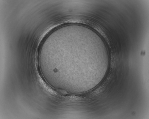 X0000115410984200911171355