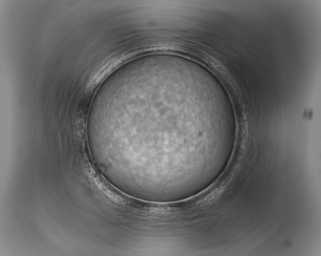 X0000115410985200911171355